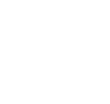 dollar icon